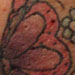 tattoo galleries/ - BUTTERFLY